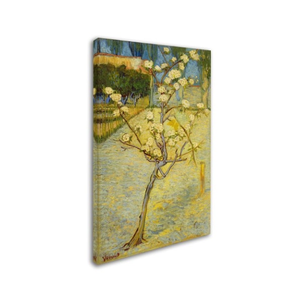Van Gogh 'Small Pear Tree In Blossom' Canvas Art,16x24